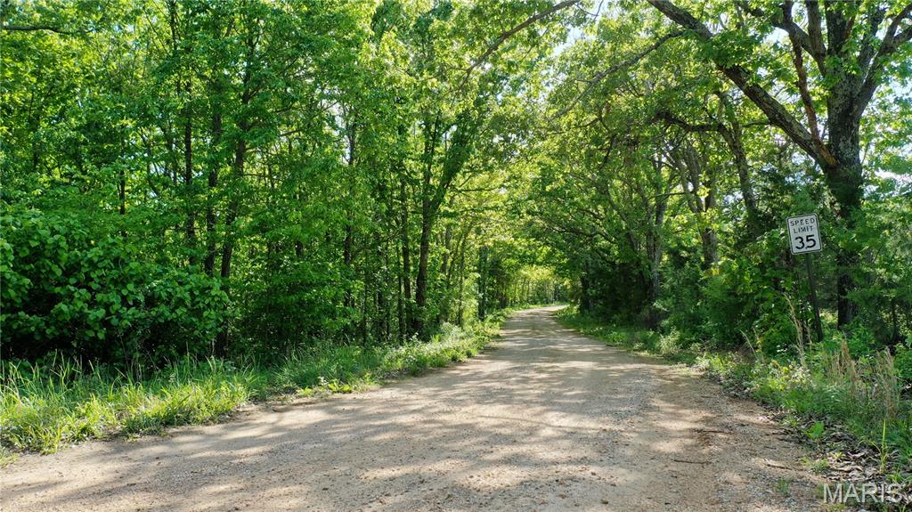 Photo of Tract 3 County Rd 4215 Salem MO 65560