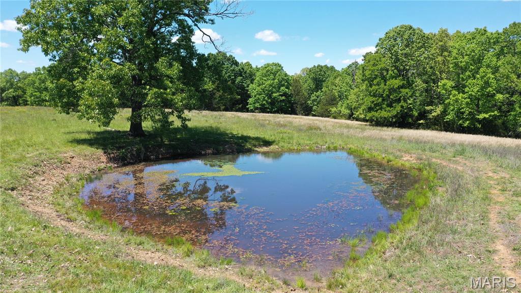Photo of Tract 5 County Rd 4215 Salem MO 65560