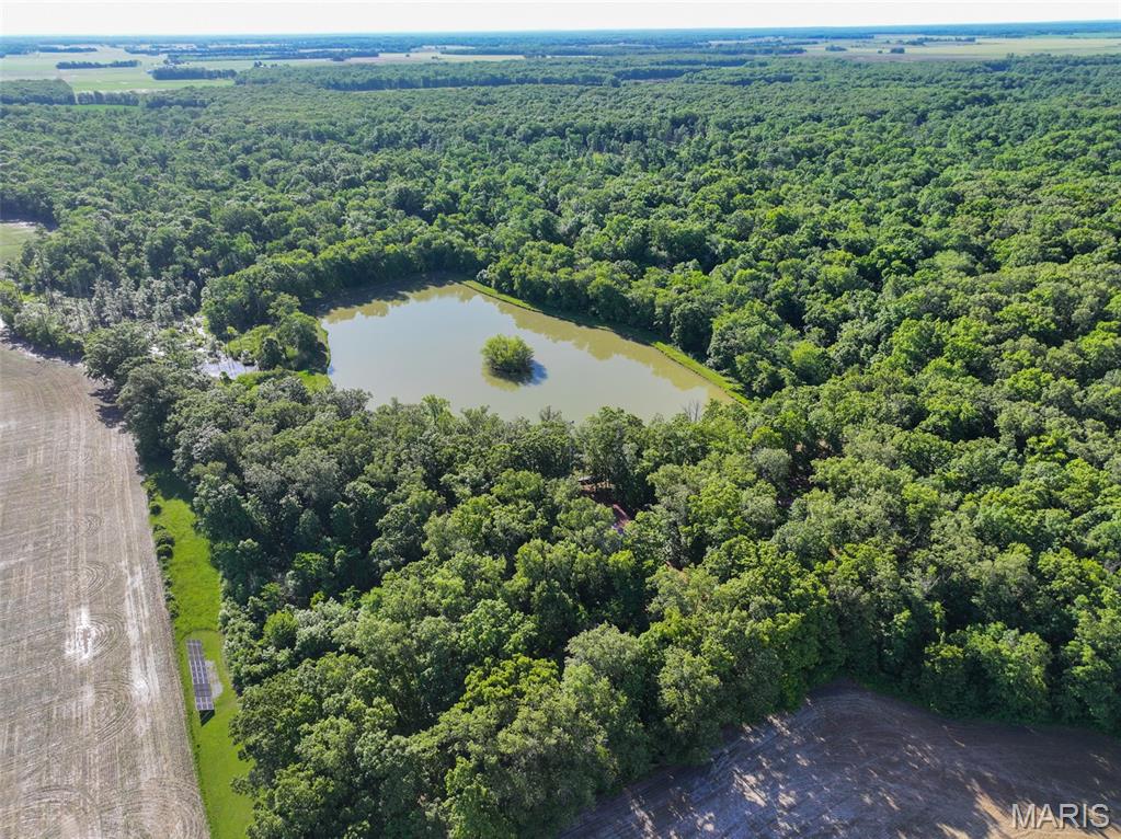 Photo of 2040 Schlager Road Elkville IL 62932