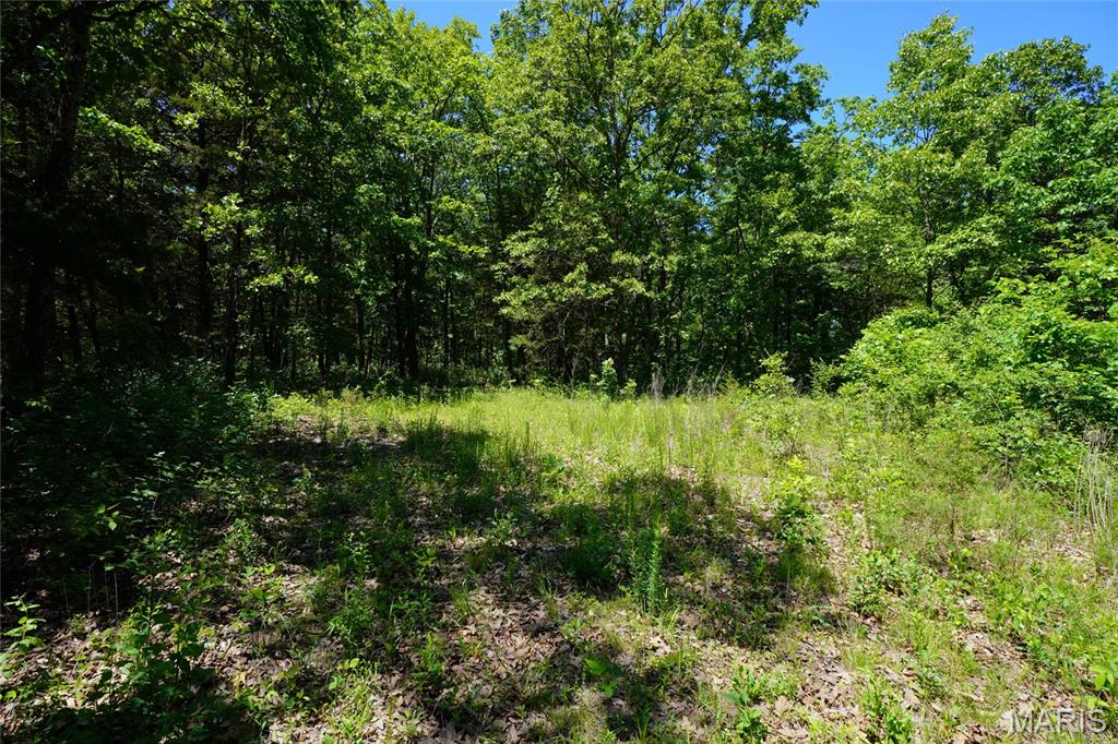 Photo of 0 Blocks Branch Road Owensville MO 65066