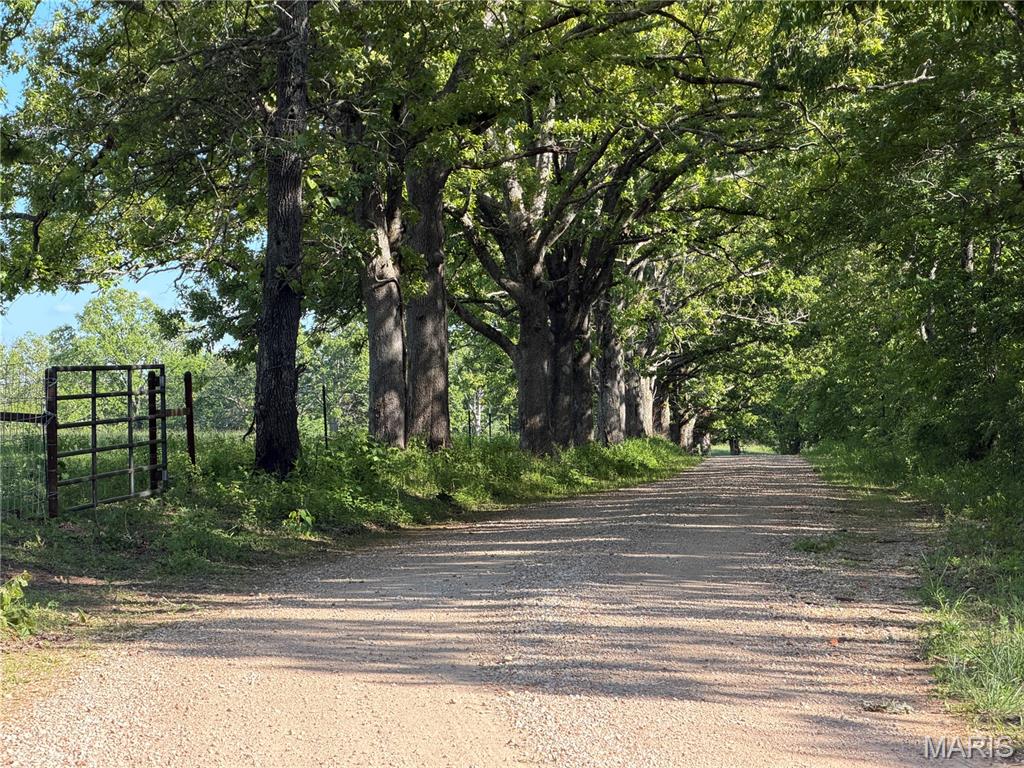 Photo of Tract 6 County Rd 4215 Salem MO 65560