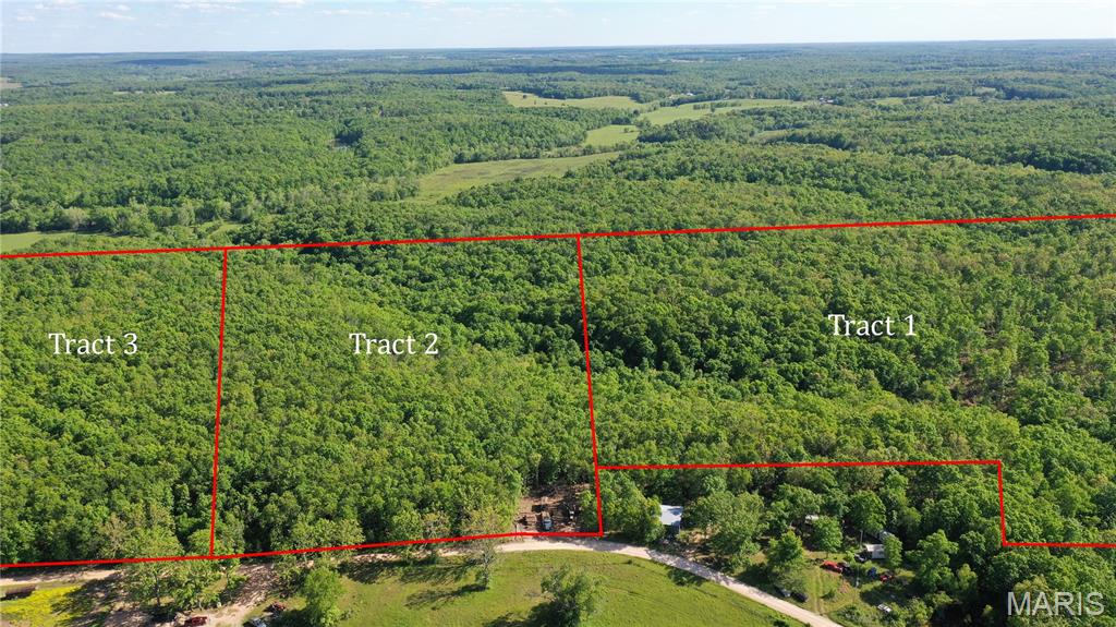Photo of Tract 1 County Rd 4215 Salem MO 65560