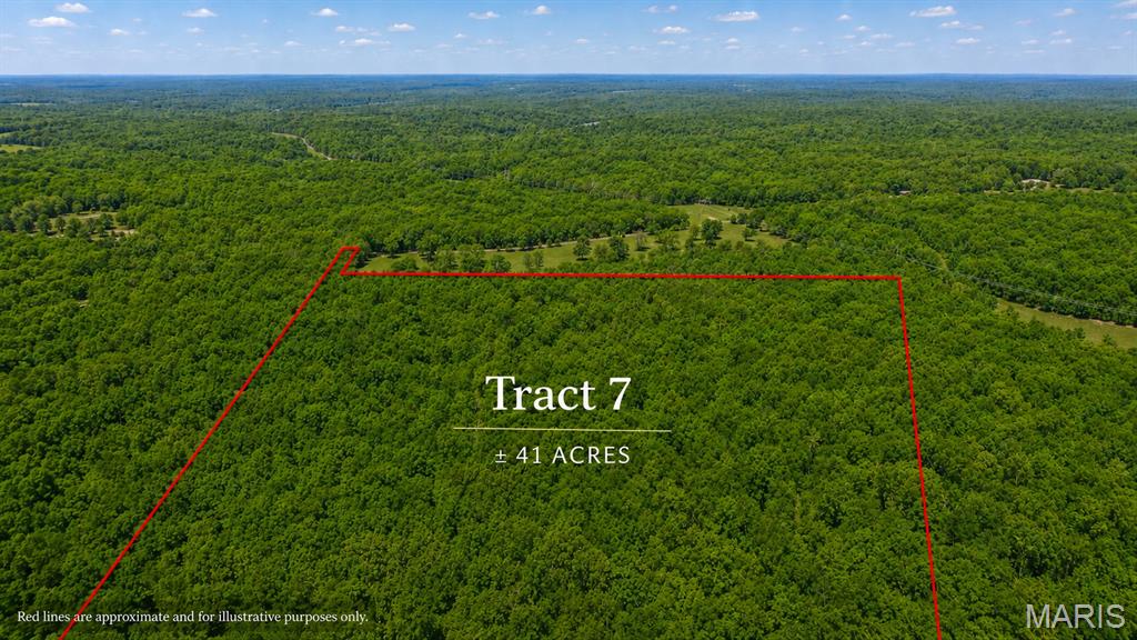 Photo of Tract 7 County Rd 4210 Salem MO 65560
