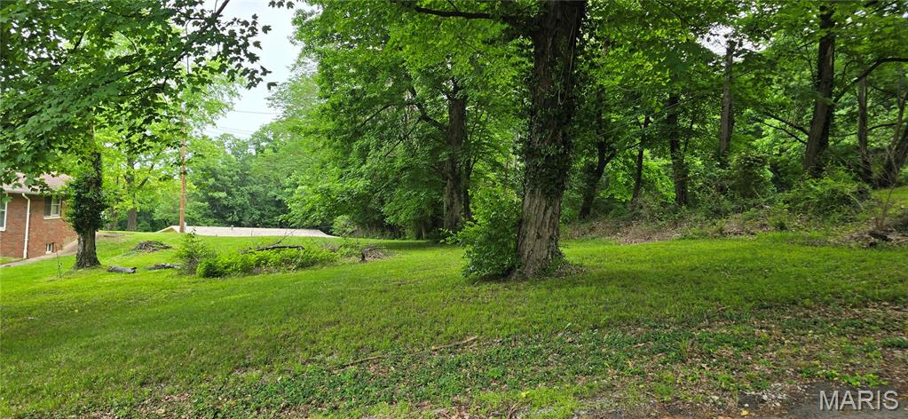 Photo of 0 Bluff Drive Belleville IL 62223