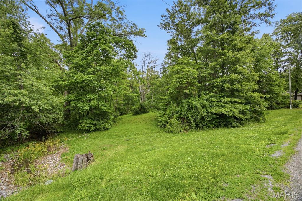 Photo of XXX Joseph Drive Pocahontas IL 62275