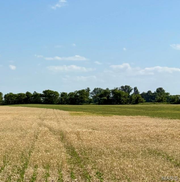 Photo of 0 S Highway BB East Prairie MO 63845