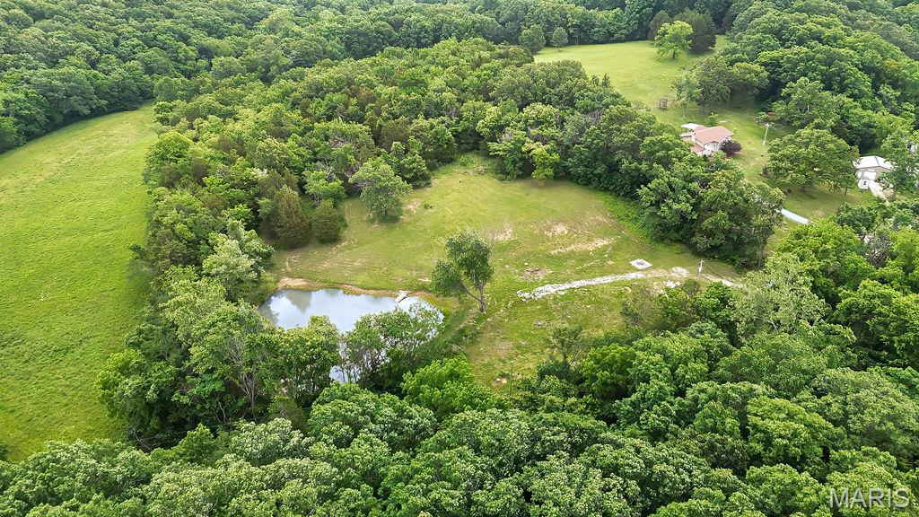 Photo of 7599 Pine Tree Ln. Bloomsdale MO 63627