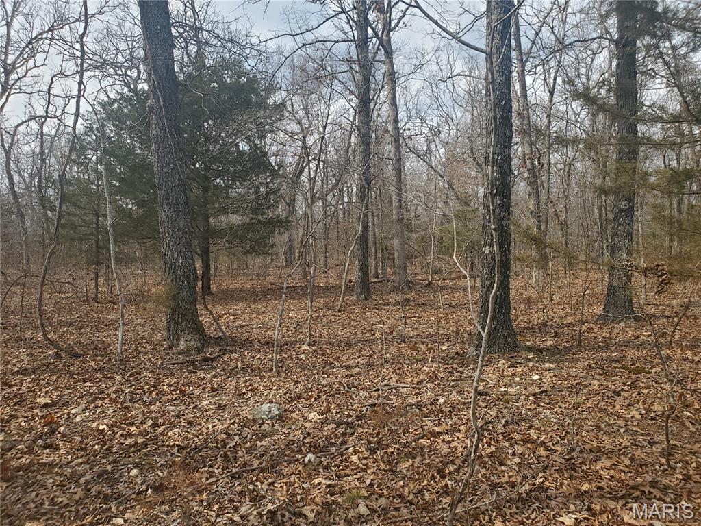 Photo of 0 S Highway 17 Laquey MO 65534