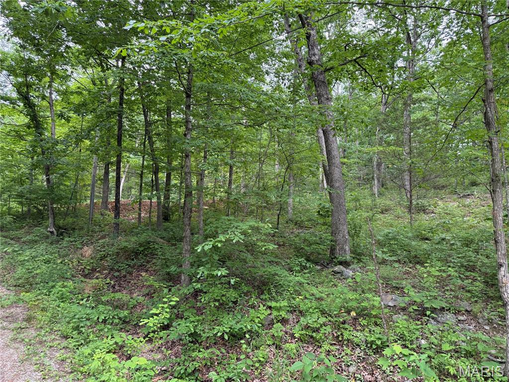 Photo of 0 Lot 84 Mallard Road Middlebrook MO 63656
