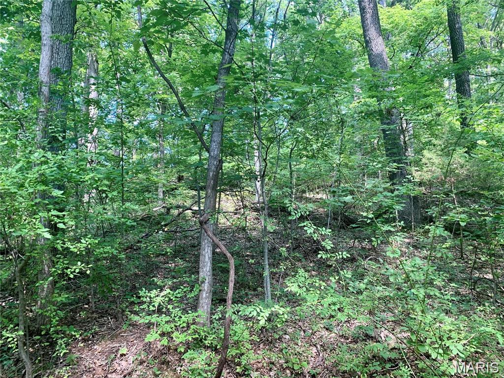 Photo of Lots 5-11 Dogwood Lane Imperial MO 63052