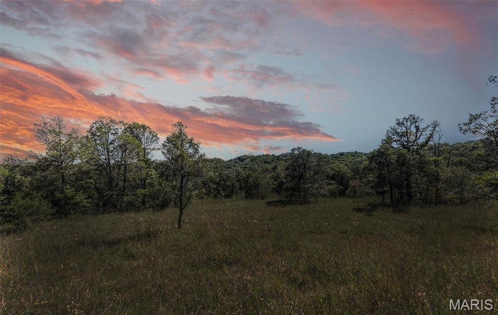Photo of 43 acres +/- Recreational/ Hunting Ground Dittmer MO 63023