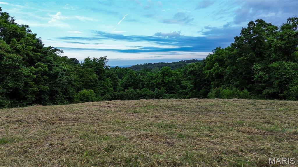 Photo of 2251 Plummer Hill Road Hardin IL 62047