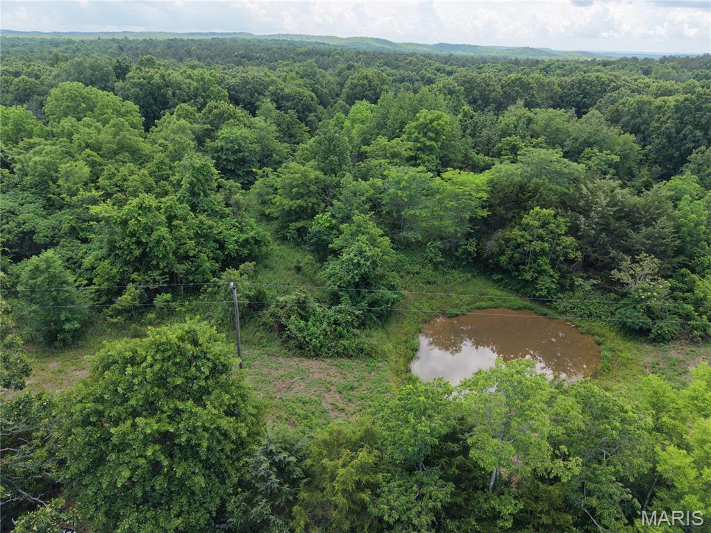 Photo of 000 160 Highway Unincorporated MO 63942