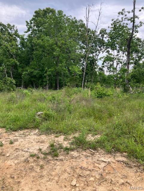 Photo of 231 Madison CR 410 Fredericktown MO 63645
