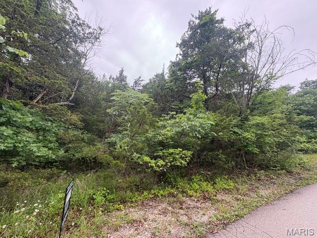Photo of 9620 Duffer Drive Unincorporated MO 63050
