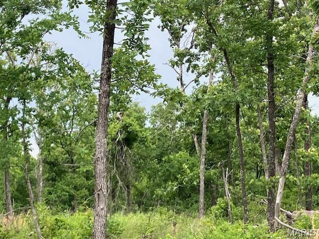 Photo of 233 Madison CR 410 Fredericktown MO 63645