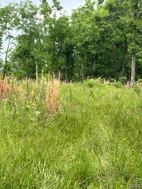 Photo of 235 Madison CR 410 Fredericktown MO 63645