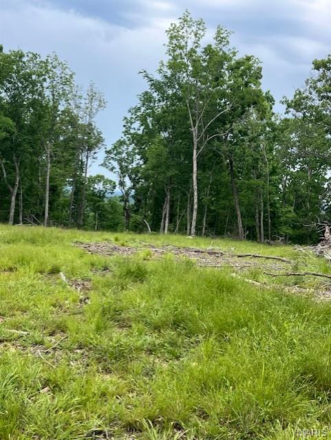 Photo of 237 Madison CR 410 Fredericktown MO 63645