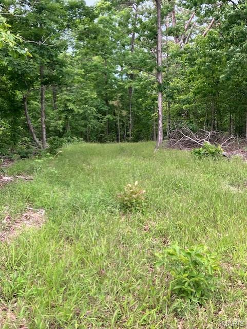Photo of 238 Madison CR 410 Fredericktown MO 63645
