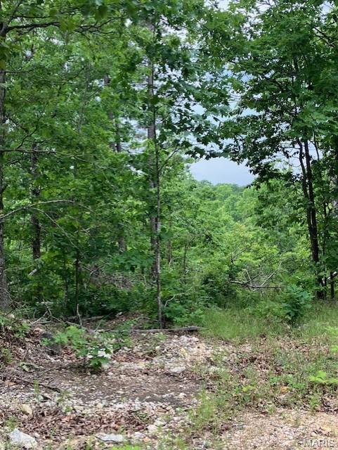 Photo of 239 Madison CR 410 Fredericktown MO 63645