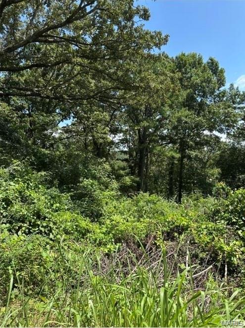 Photo of Plat 9 Lot 22 Van Buren MO 63965