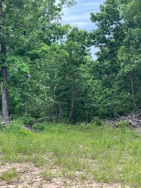 Photo of 240 Madison CR 410 Fredericktown MO 63645