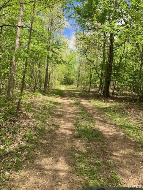 Photo of 228 Madison CR 410 Fredericktown MO 63645
