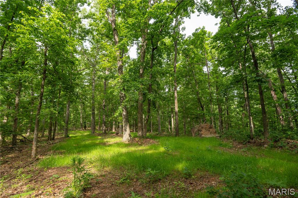 Photo of TBD Wayne Piedmont MO 63957