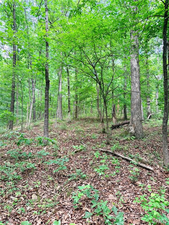 Photo of 0 County Road 450 Poplar Bluff MO 63901