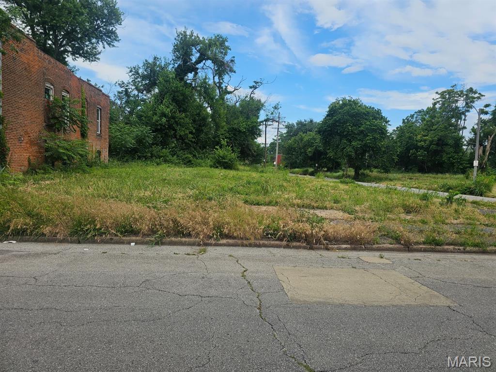 Photo of 1704 Annie Malone Drive St Louis MO 63113