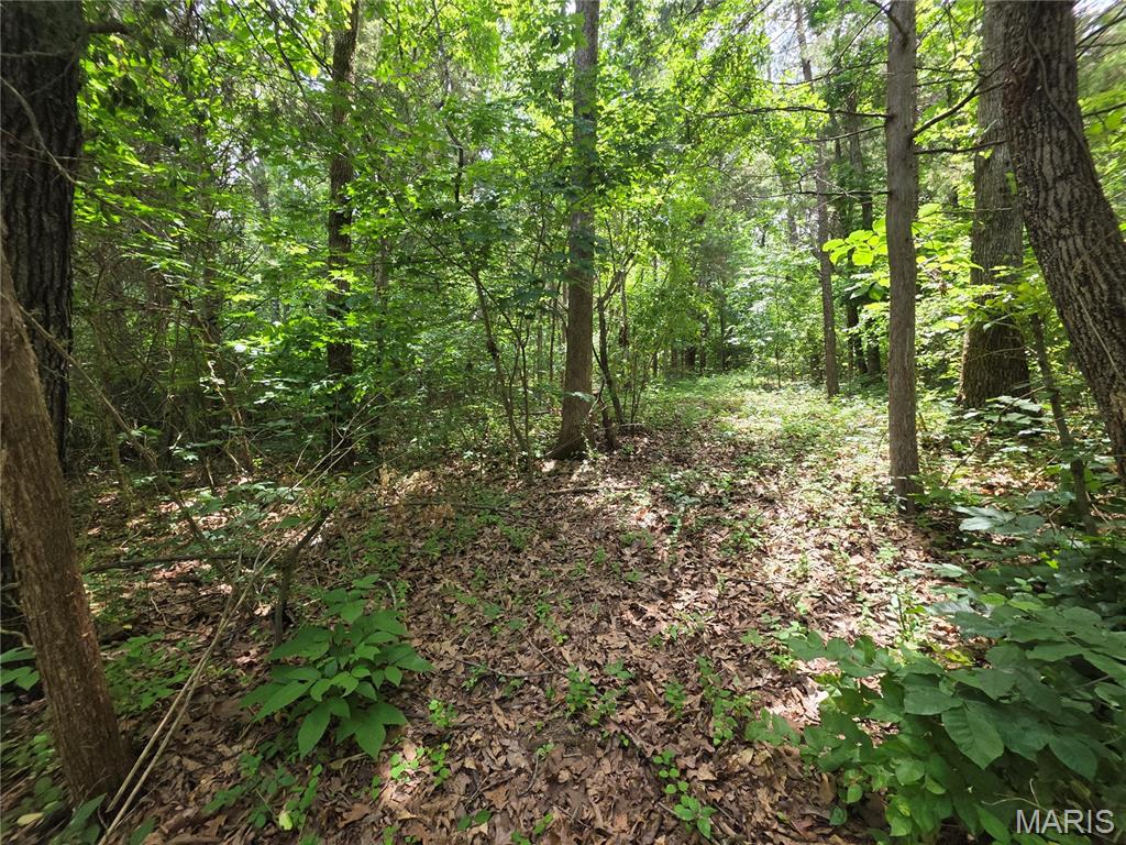 Photo of 0 S Lake Shore Drive Hillsboro MO 63050