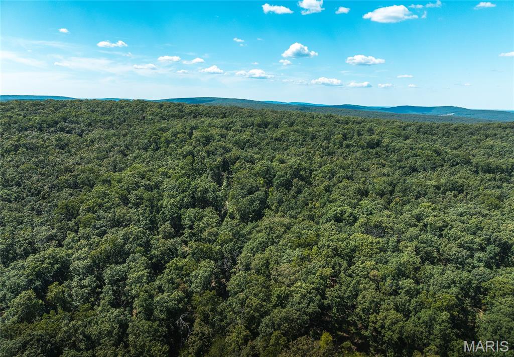 Photo of 1 Buck Mountain Road Doe Run MO 63637