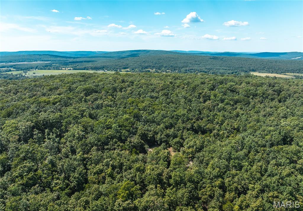 Photo of 2 Buck Mountain Rd Unincorporated MO 63667