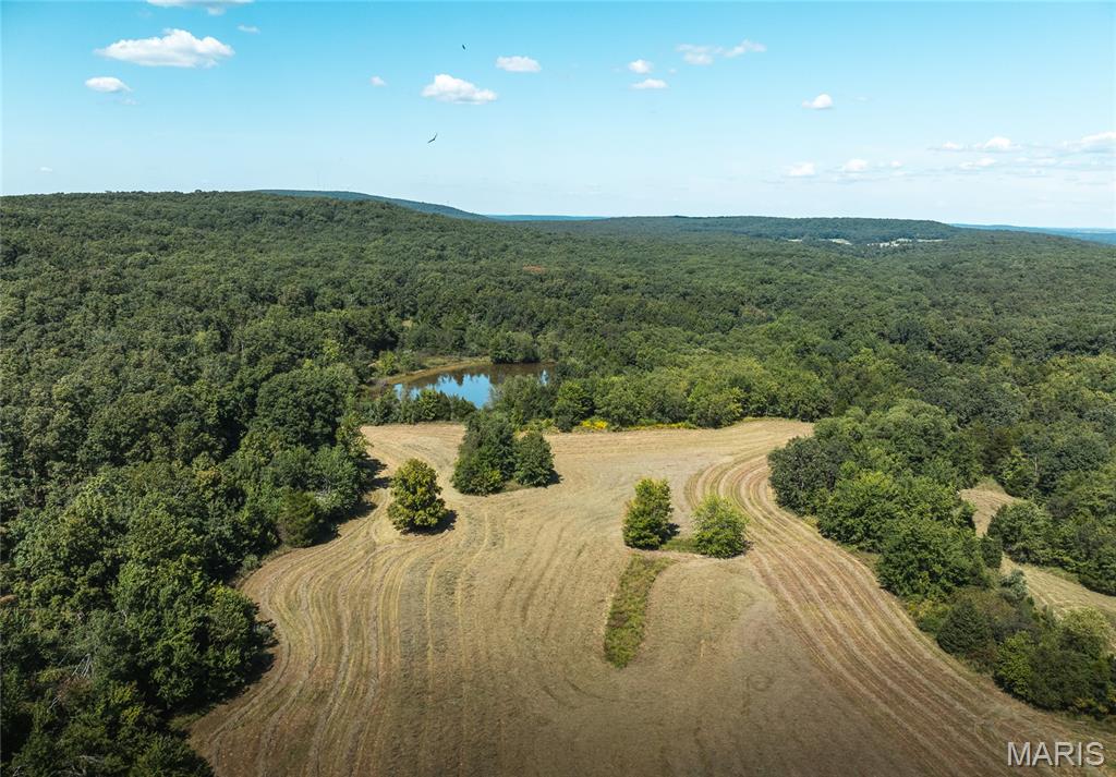 Photo of 4 Buck Mountain Road Doe Run MO 63637