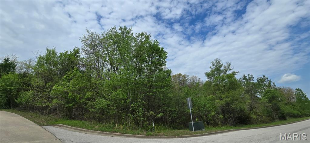 Photo of LOT 1&2 EPPLE-FRICKE DRIVE Hermann MO 65041