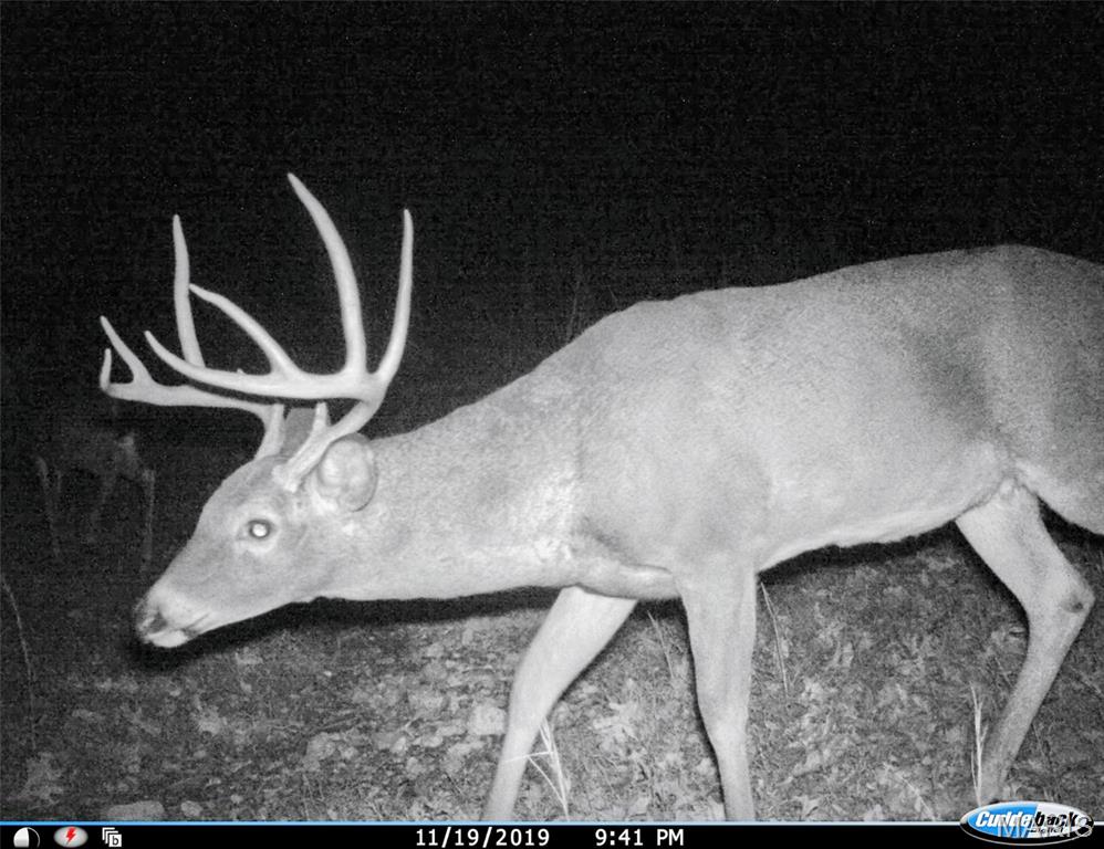 Photo of TBD County Road 502 Ellington MO 63638