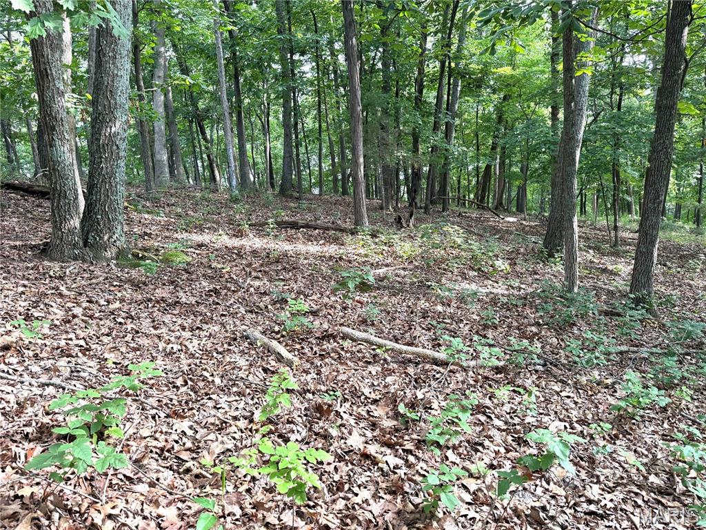 Photo of 17134 Hidden Valley Forest Wildwood MO 63025