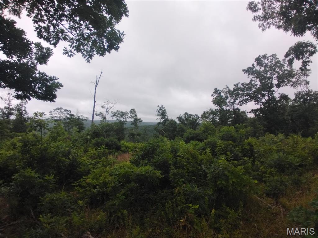 Photo of 12 Tract 12 Belleview MO 63623