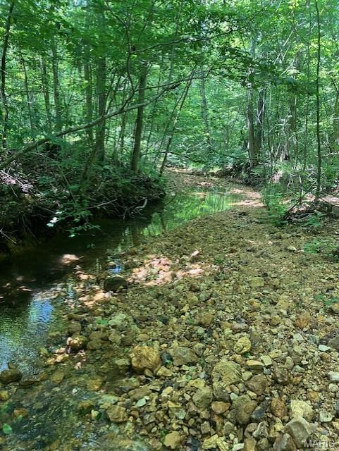 Photo of 242 Madison CR 410 Fredericktown MO 63645