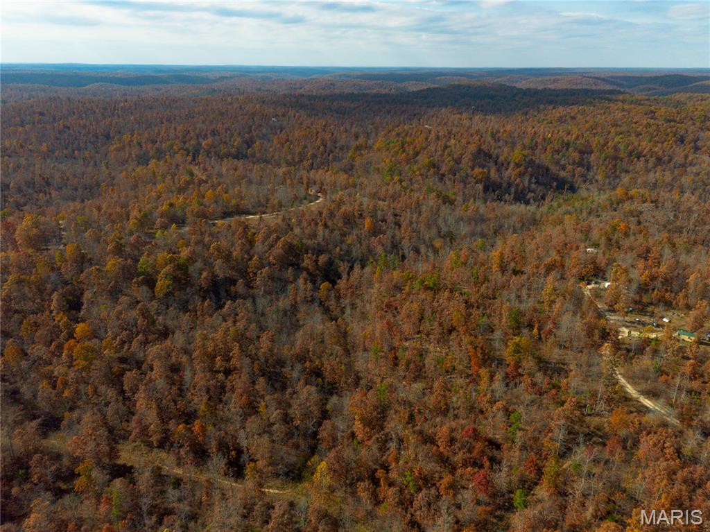 Photo of 15682 Winding Trail Birch Tree MO 65438