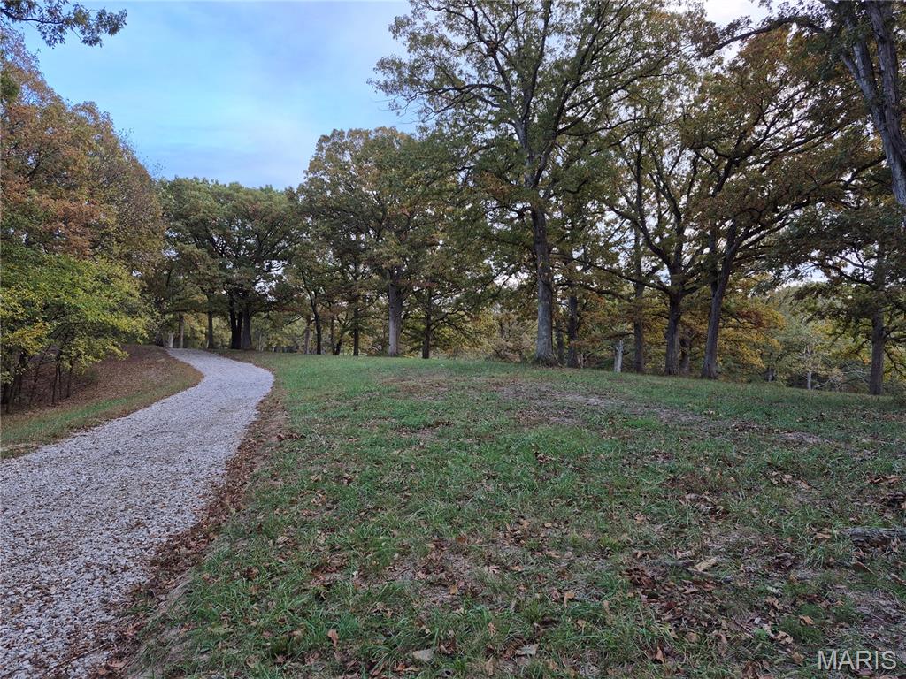 Photo of 0 Highway D - Tract 5b (10.9+/- Acres) Eolia MO 63344