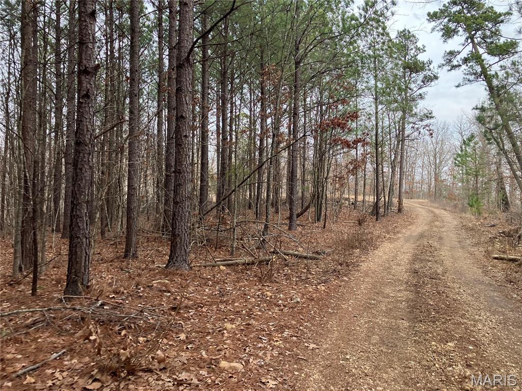 Photo of 252 Madison CR 410 Fredericktown MO 63645