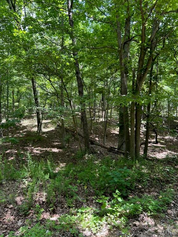 Photo of 0 Hargrove Road St Robert MO 65584