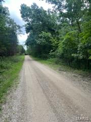 Photo of 0 Rue Felice Bonne Terre MO 63628