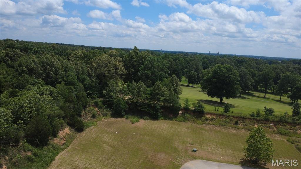 Photo of 00 Palm Tree Drive Poplar Bluff MO 63901