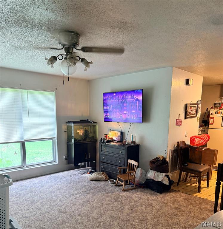 Photo of 1176 County Road 523 Poplar Bluff MO 63901