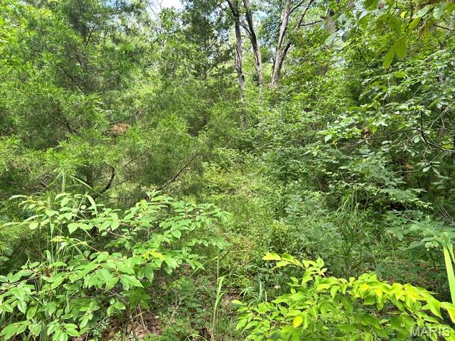 Photo of 595 Utica Drive Bismarck MO 63624