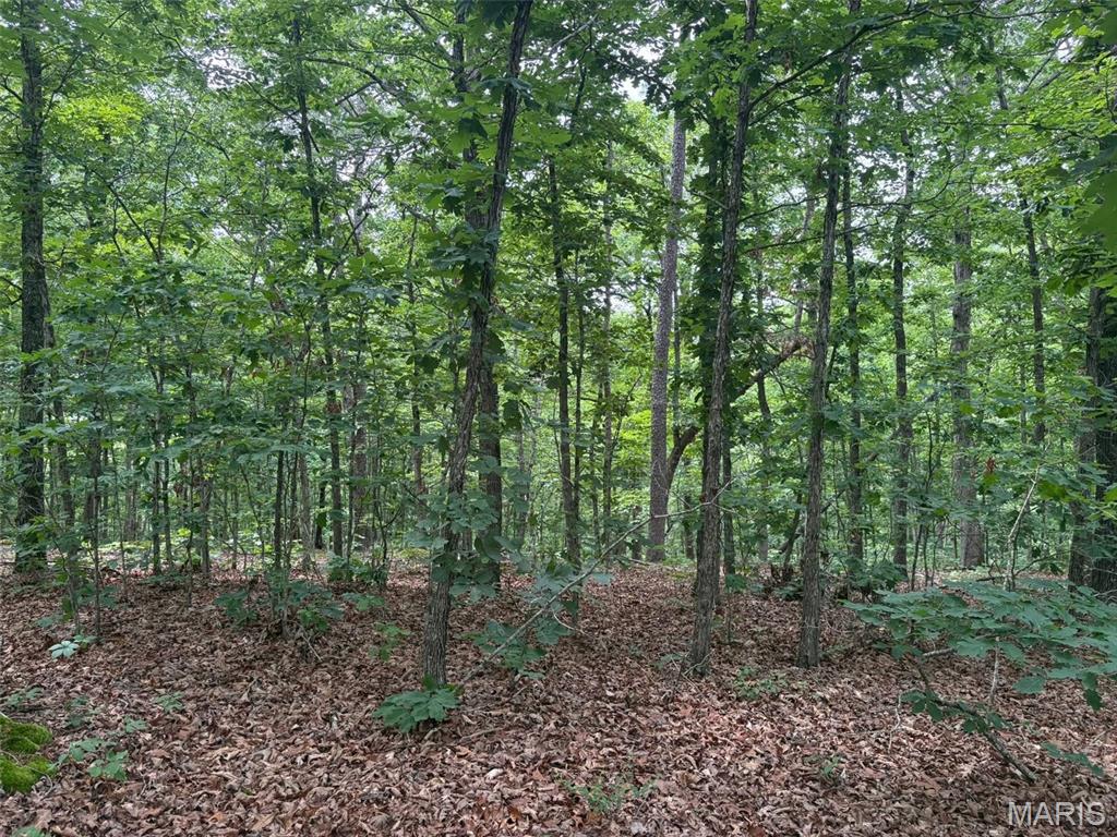 Photo of 0 Highway 21 Ellington MO 63638