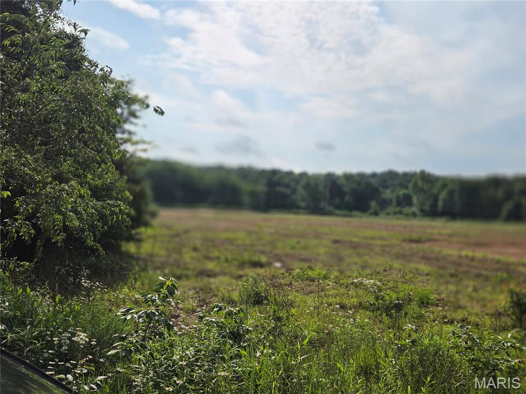 Photo of 12.05 Acres Hwy O Rolla MO 65401