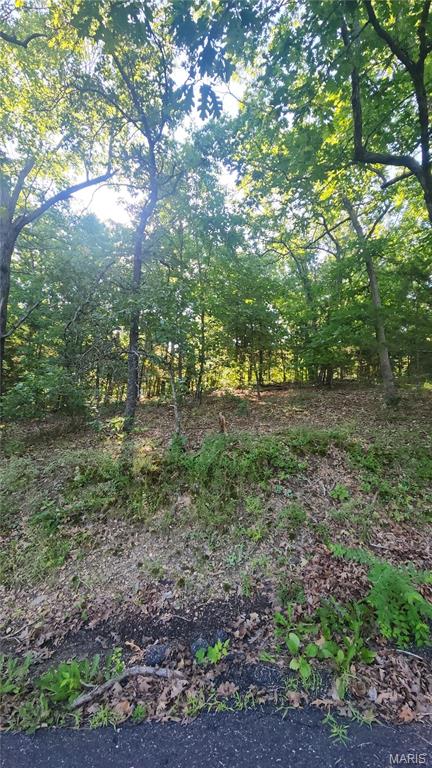 Photo of lot 14 E Forest Lane Owensville MO 65066